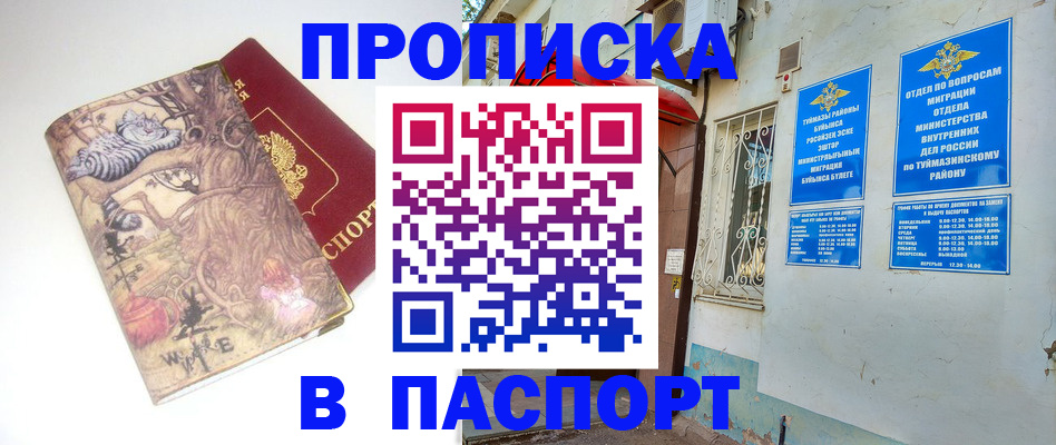 пропишу в квартире в Клинцах